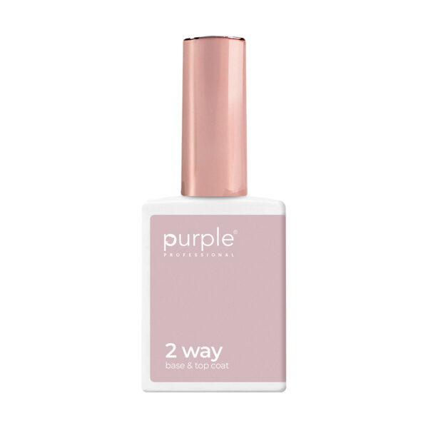 P2405 2 WAY