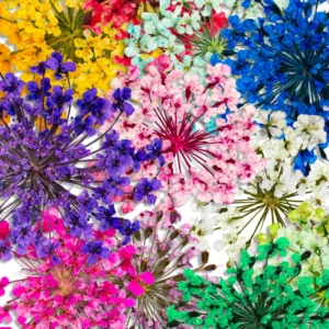 Nail Flowers - Flores Secas INOCOS - Image 3