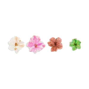 Natura Flowers - Flores Secas INOCOS - Image 2
