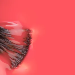 Verniz Gel Inocos Sebastião GP155 - Image 2