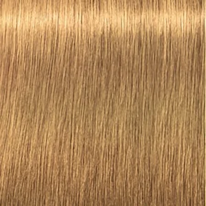 IG Royal  9-55 - Image 2