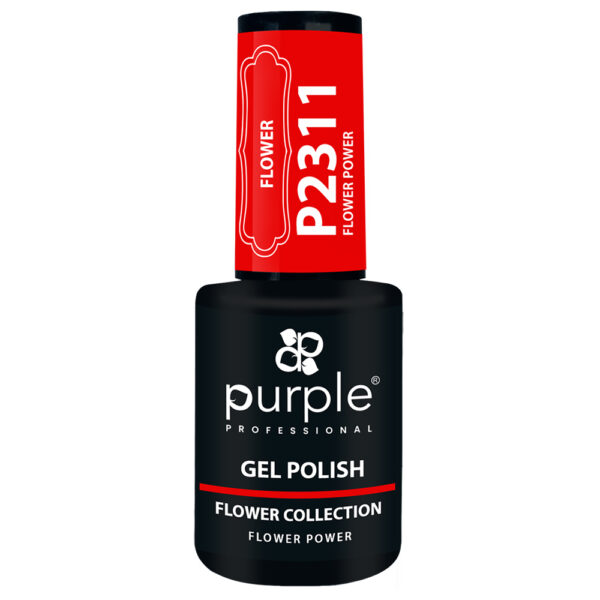 P2311- (1)