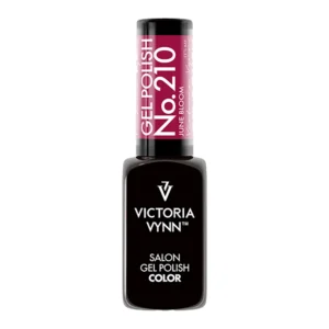 Verniz Gel VV Nº210 - Image 1