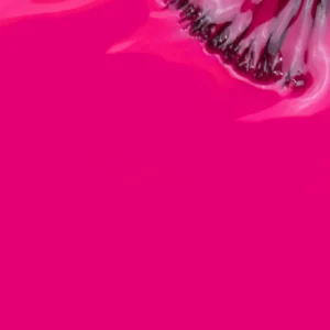 Verniz Gel Inocos O Amor é Liberdade GP272 - Image 3